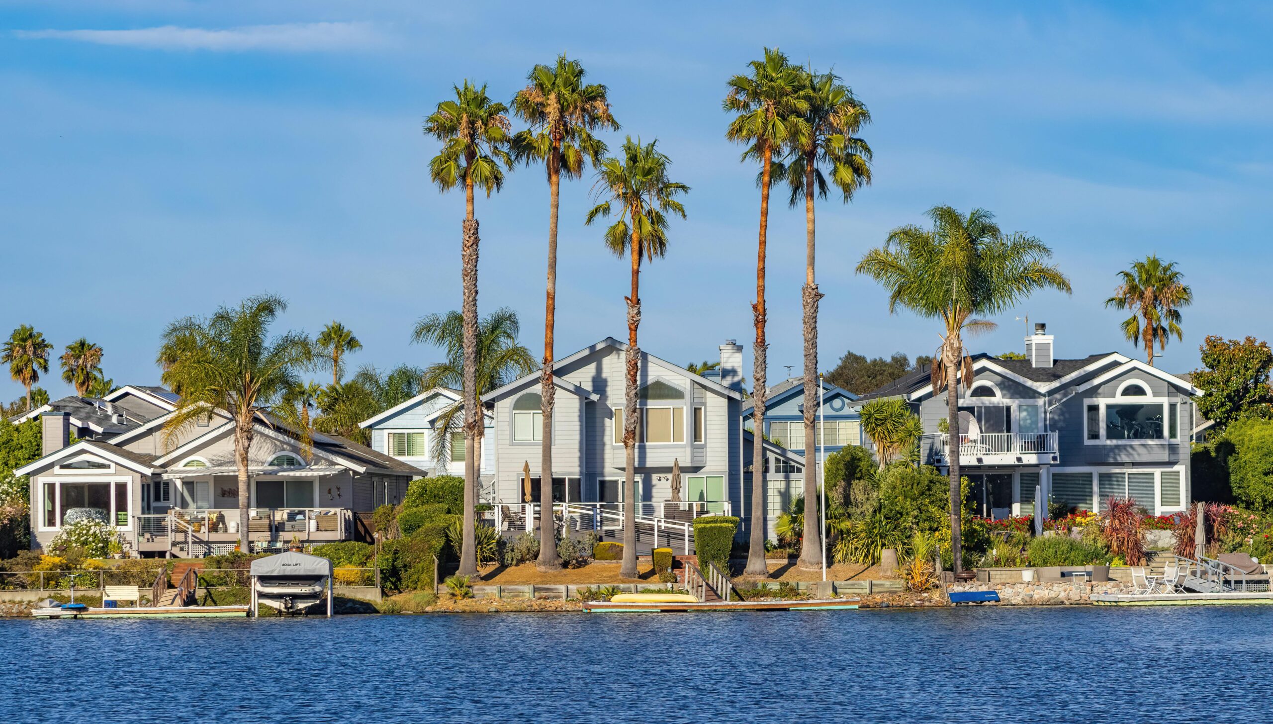 house and palm trees on seashore