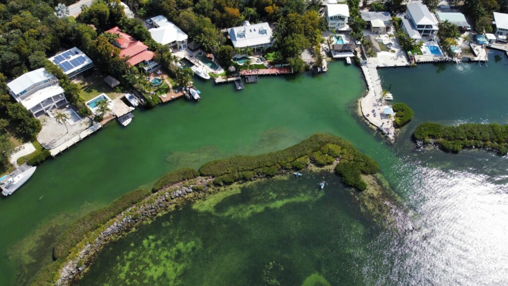 an aerial view of a body of water surrounded by houses
